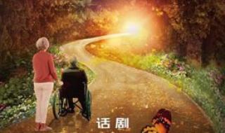 选择与尊严 选择与尊严