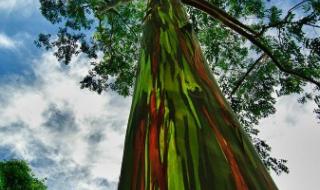 一样的天空 一样的天空