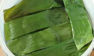 中元节包的正确写法