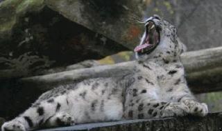 拉黑再删除永久加不上 拉黑再删除永久加不上