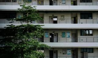 广东科贸职业技术学院 广东科贸职业技术学院