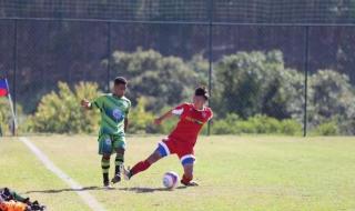 鲁能球员名单及照片 鲁能球员名单及照片